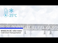 WIN50 DC 24v मोटर ड्राइव रोलर कोल्ड चेन परिवहन